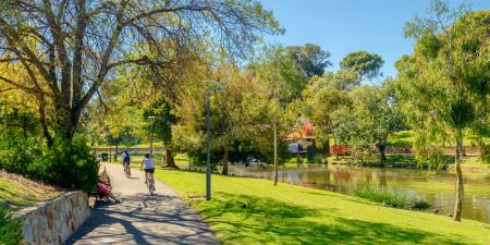 Greener Neighbourhoods Tree Canopy