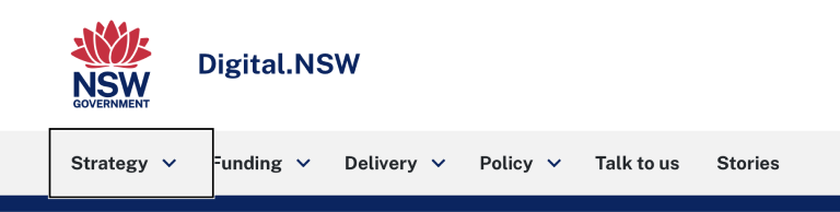 Image of the digital.nsw website menu displaying the focus indicator