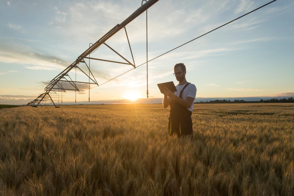 Facilitating collaboration through a connectivity roundtable  | Technology Industry | Connectivity | Digital NSW