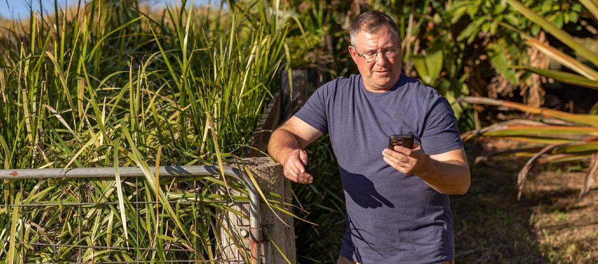 man on phone in bushland