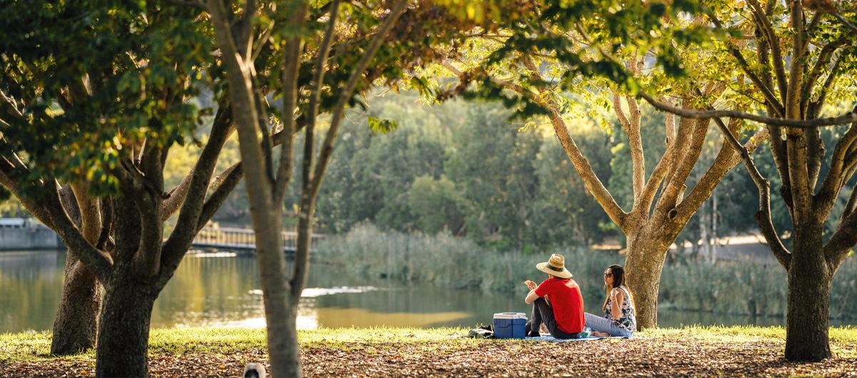 couple sitting in park